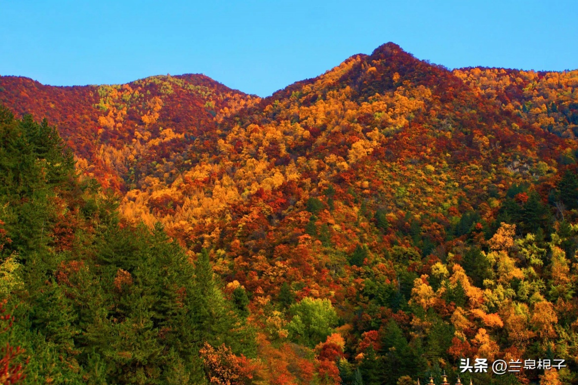 Shifogou National Forest Park